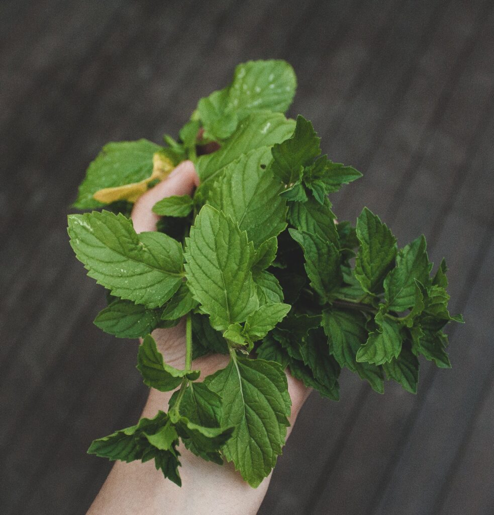 mint free 6