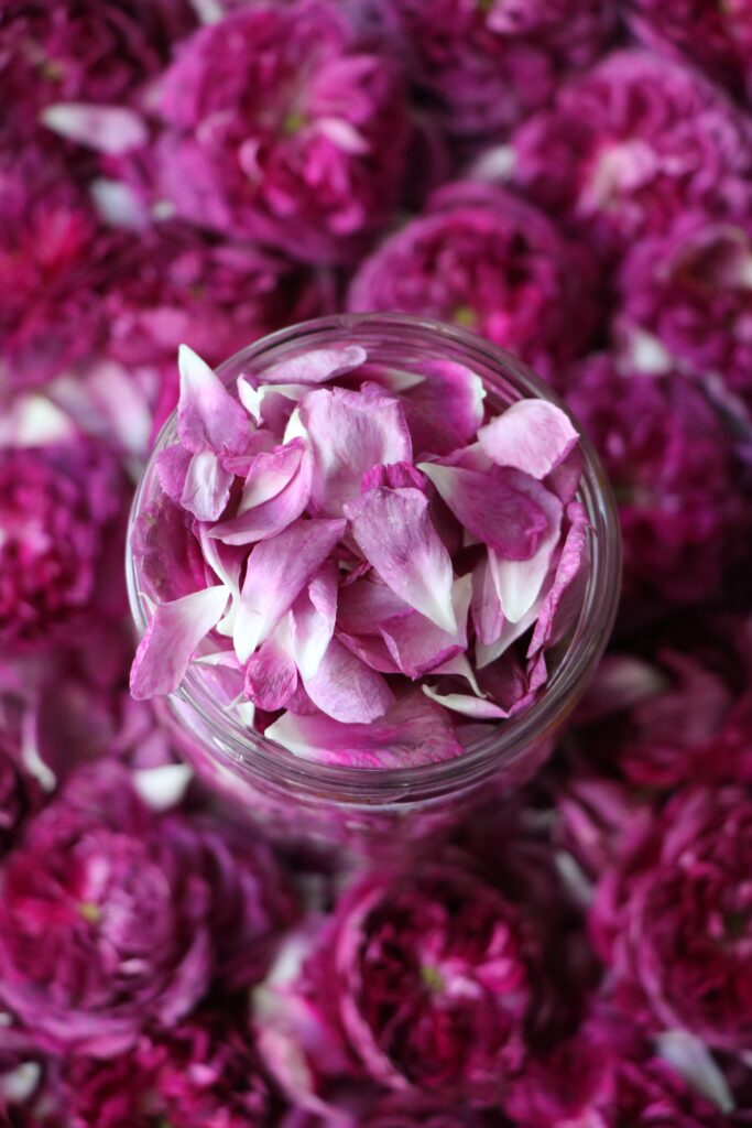 rose water free 3